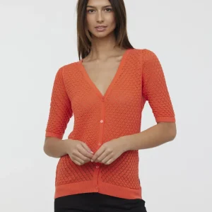 Pulls CANA Acide orange