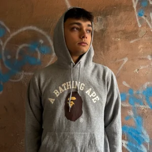 Hoodie Bape gris - L