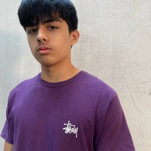 Basic Tee Stussy Violet - M