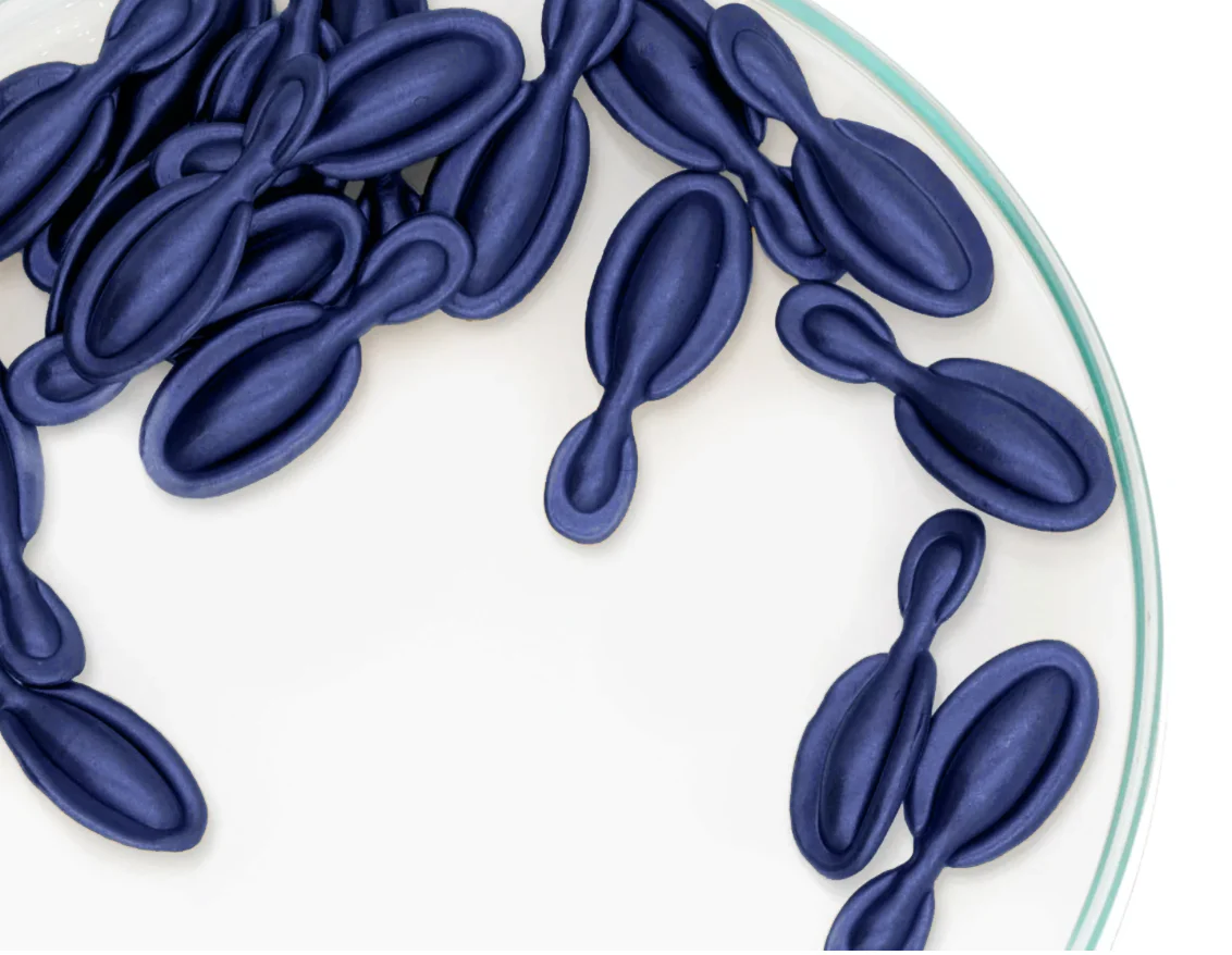 Ericson - CAPSULES SÉRUM ÉLIXIR – Image 3