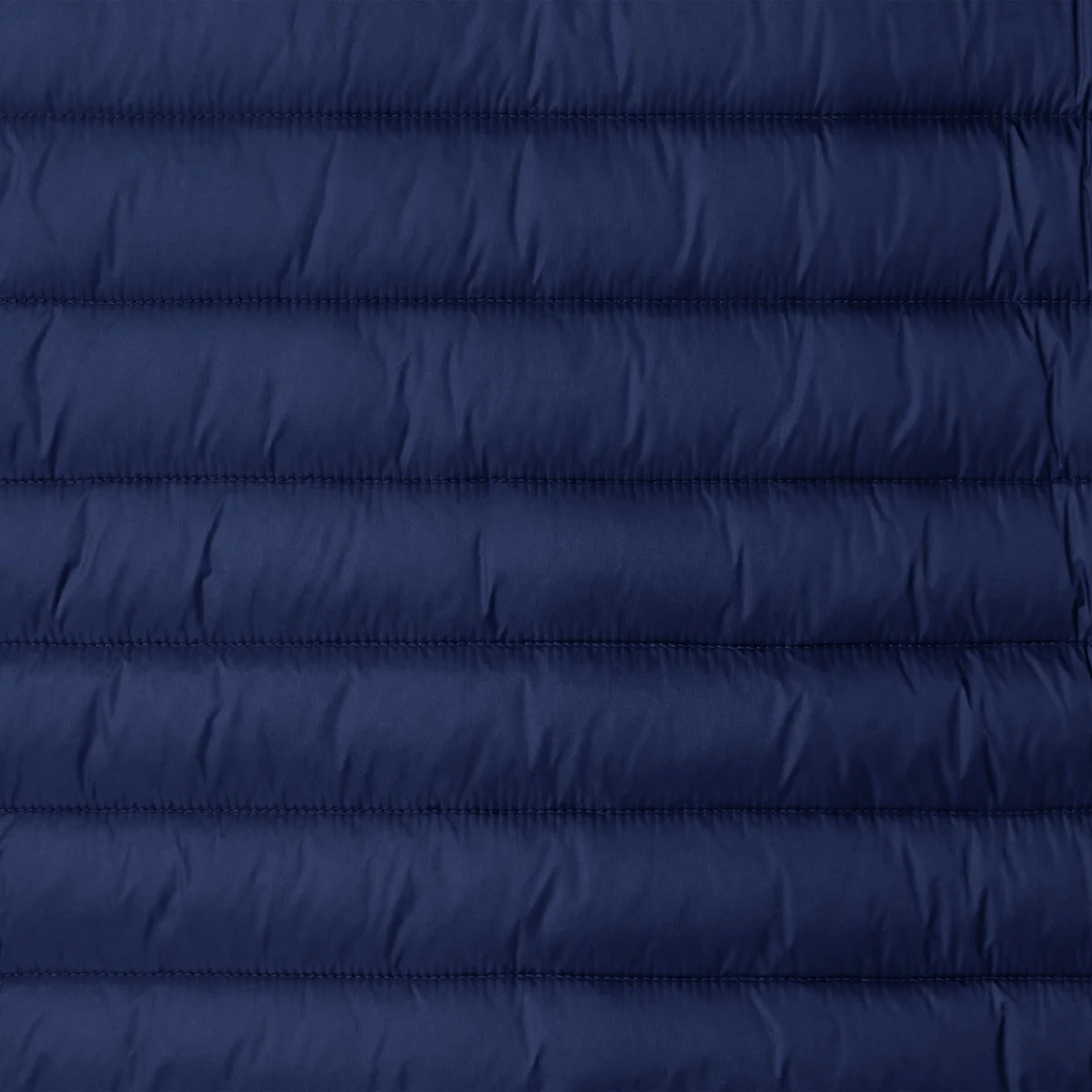 Piumino animal free uomo Alexander blu elettrico – Image 7