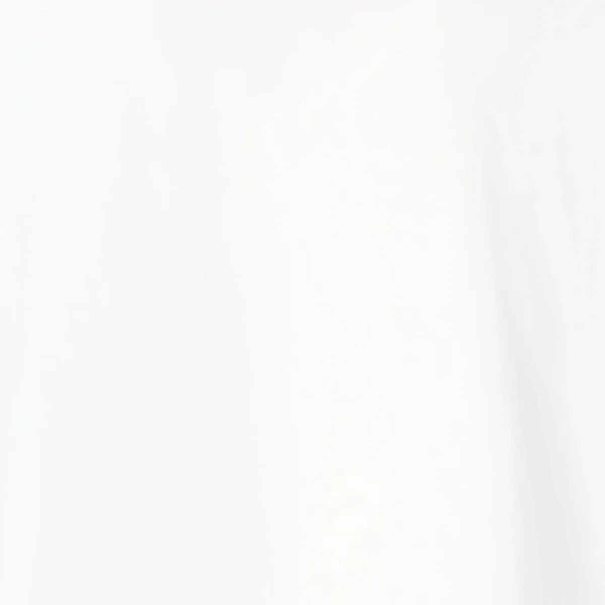 T-shirt uomo Nalo bianco con stampa DUCKER – Image 7