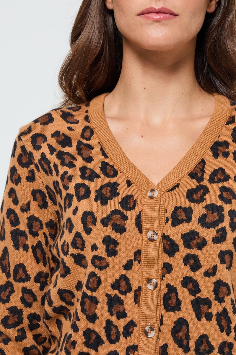 Pull Cardipar Camel – Image 4