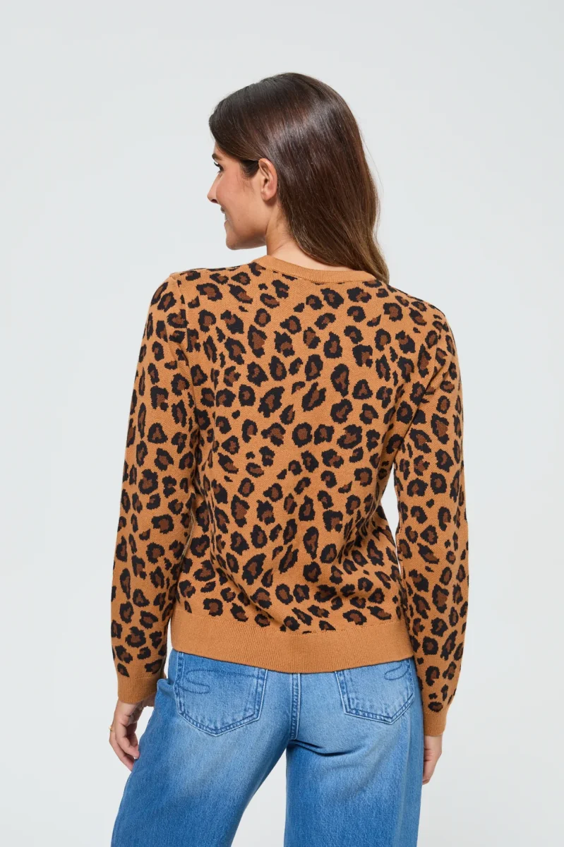 Pull Cardipar Camel – Image 6