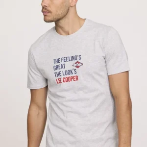 T-shirt ALEKO Gris chiné